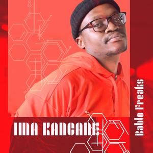 Ima Kancane (feat. SburhAiirsh, 25thcentury & Endofoldie)