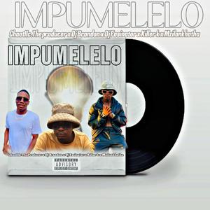 Impumelelo (feat. Killer K, Chaotiic The Producer, Dj Fascinator7 & Mzilankatha) [Explicit]