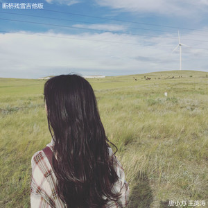 断桥残雪 (吉他版)