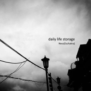 daily life storage