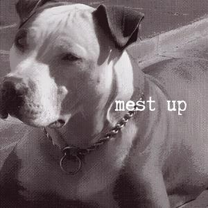 mest up (Raw Edit) [Explicit]