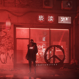 profanities (亵渎)