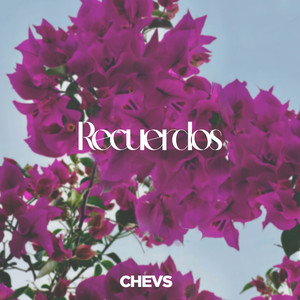 Recuerdos