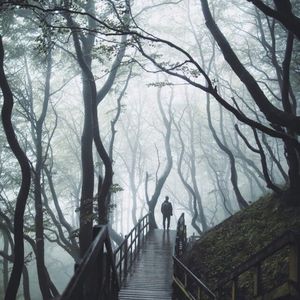 野狼disco-纯情小Lee