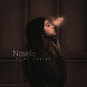 novela