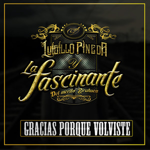 Gracias Porque Volviste