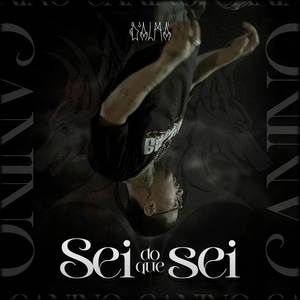 Sei do que sei (Explicit)