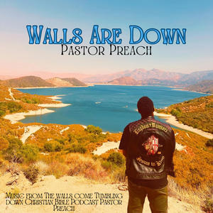 Walls Are Down (WCTDCBP Season One Theme)