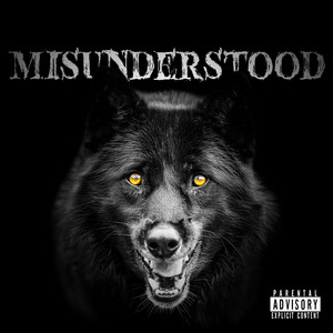 Misunderstood (Explicit)