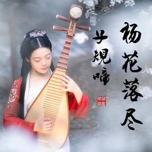 【琵琶】杨花落尽子规啼-乐落清音版