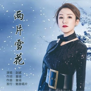 两片雪花 (伴奏)
