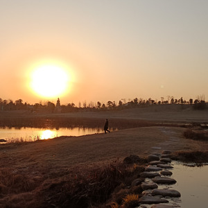 想找个有海的地方和你荒度余生