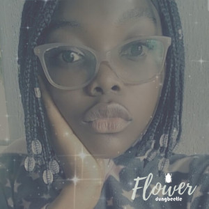 African Daisy