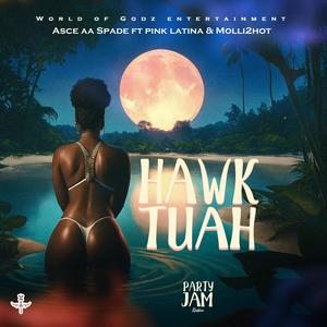 HAWK TUAH (feat. Pink Latina & Molli2Hot) (Explicit)