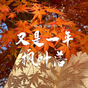 又是一年枫叶落