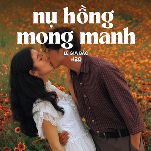 Nụ Hồng Mong Manh (Lofi)