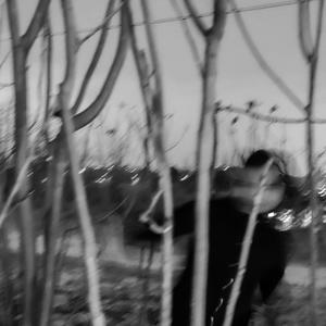 the night(feat. Queen0fDaggers)