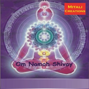 Om Namah Shivay