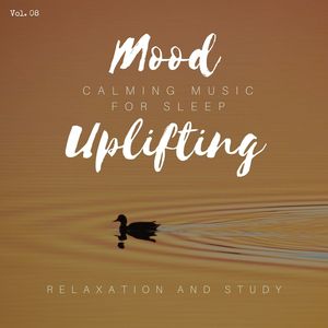 Mood Uplifting - Calming Music For Sleep, Relaxation And Study, Vol. 08