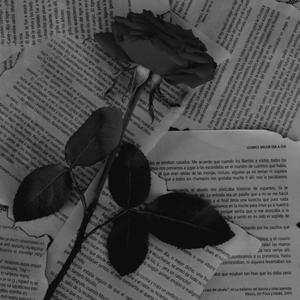 Čierne Ruže (feat. NIKDOM & Noe) (Explicit)