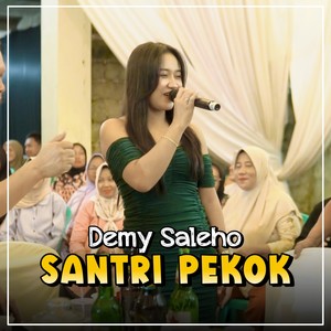 Santri Pekok