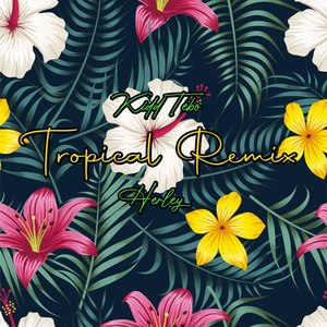 Tropical (Remix|Explicit)