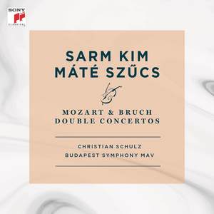 Double Concerto For Violin & Viola In E Minor, Op. 88 - I. Andante Con Moto