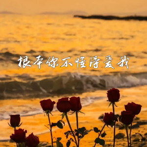 根本你不懂得爱我 (女生释怀版)
