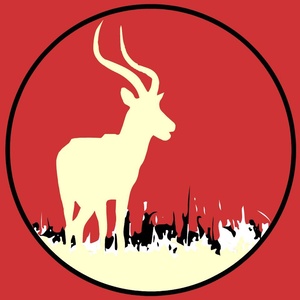 Natural (Original Mix)