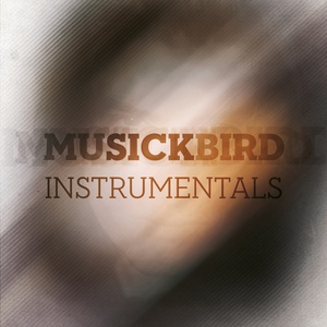 Erste Schritte (Sickbird & Symmetric Instrumental)