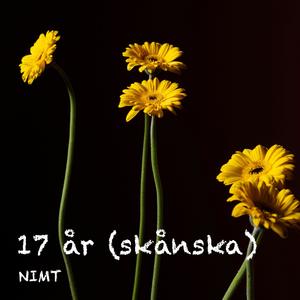 17 år (skånska)