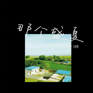 那个盛夏 (伴奏)