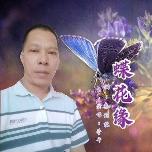 蝶花缘
