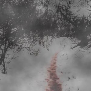 fades away (feat. xFujioka & dev0) (Explicit)