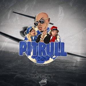 Mrs. Worldwide (Pitrull) (feat. Motorbaut)