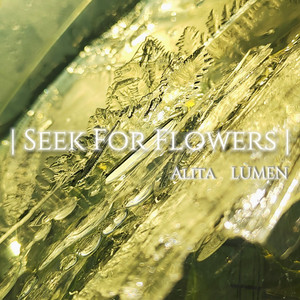 Seek For Flowers