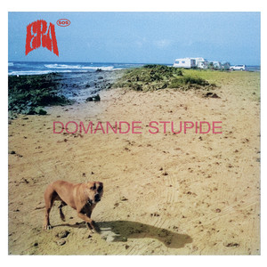 Domande stupide (Explicit)