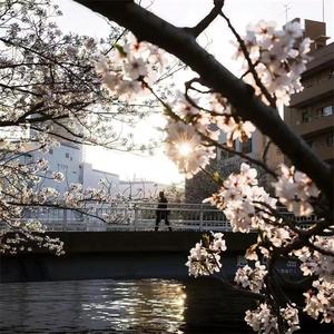 Northern Lights (纯享治愈版)