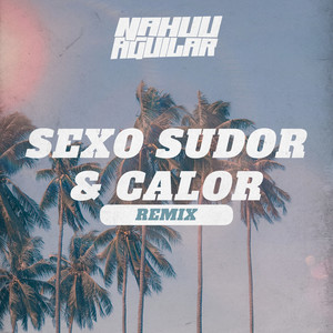 Sexo Sudor y Calor (Remix)