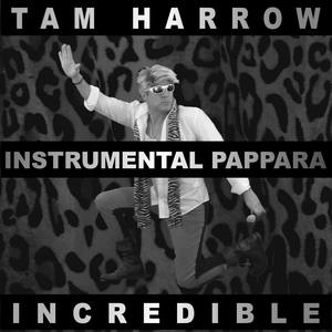 Incredible (Instrumental Pappara)