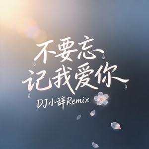 不要忘记我爱你 (DJ小辞Remix)封面