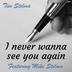 I Never Wanna See You Again (feat. Mike Stelma)