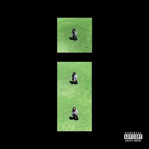 iNDIFFERENT (feat. Zelooperz) (Explicit)