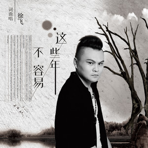 这些年不容易 (伴奏)