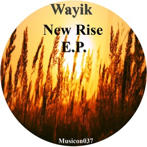 New Rise