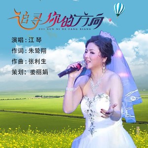 追寻你的方向 (伴奏)