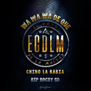 Wa Wa Wa De Que (Tiradera Pa Rochy) (feat. chino la rabia)