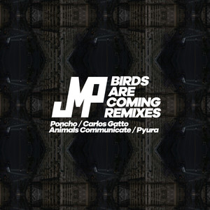 Birds Are Coming - Remixes