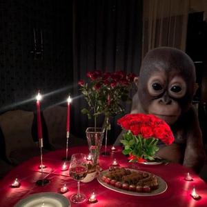 Yours to Love (feat. gettinga.life) (Alt Slow Down + Reverb) (Explicit)