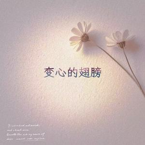 变心的翅膀 (R&B版)